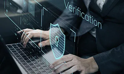 Data Verification Services