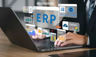 Enterprise Resource Planning (ERP) Systems