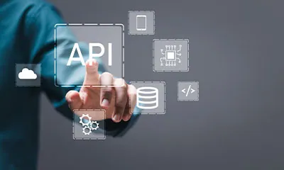 API Management Services