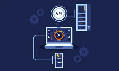 Third-party API Integration Services